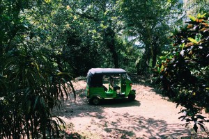 A tuk-tuk parked in the jungle