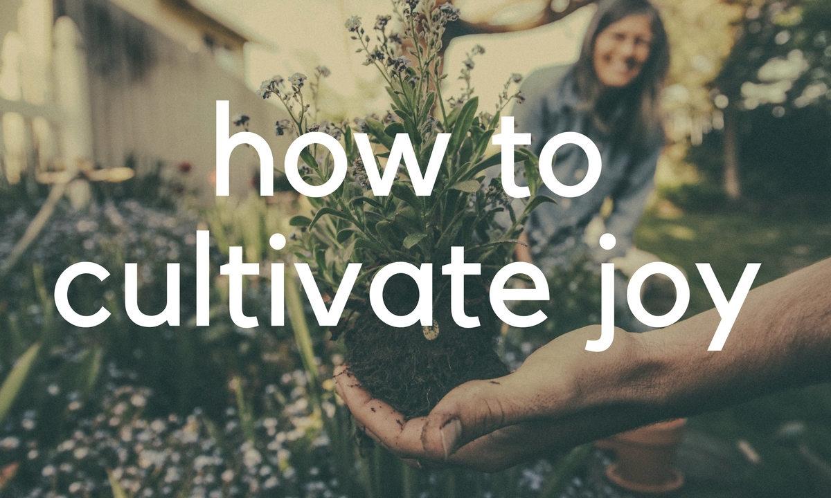 How to cultivate joy – The Everlasting Fallout